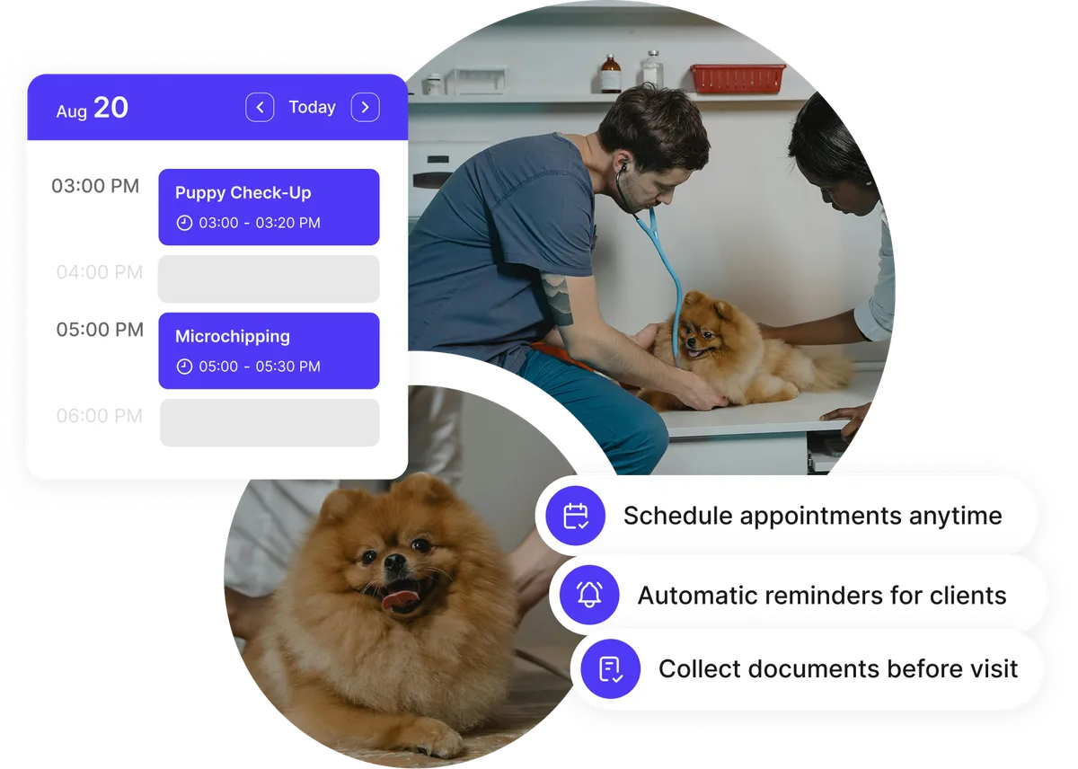 veterinary staff scheduling dashboard