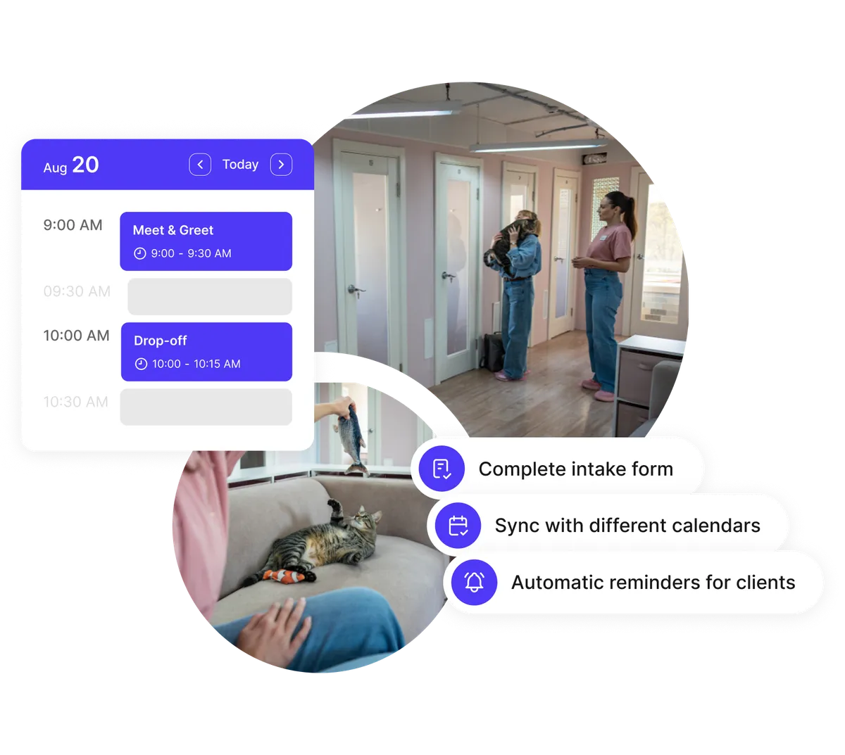 dog daycare management schedule