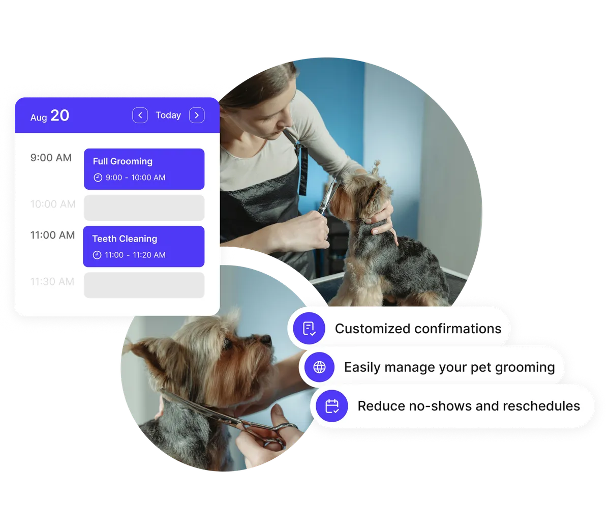 pet grooming scheduling calendar for teams